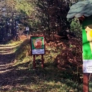 Детска патека – Инфо центар – Голема Ливада