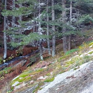 Инфо Центар - Копанки (Кружна патека)