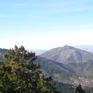 Инфо Центар – Видиковец (Кружна патека)