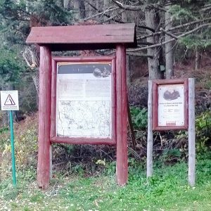 Инфо центар – Историска патека