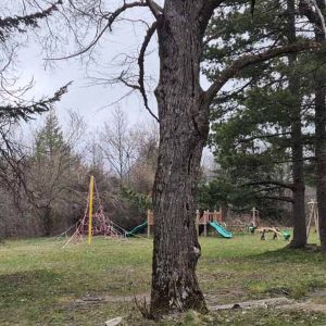 Голема Ливада