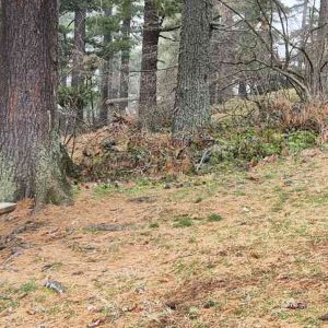 Ластојчин Камен