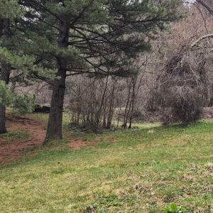 Мала Ливада