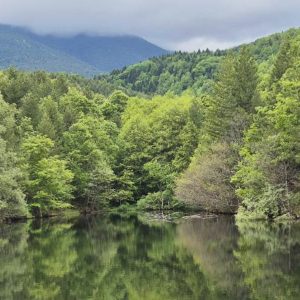 Ротинско Езеро